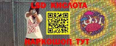 spice Кунгур