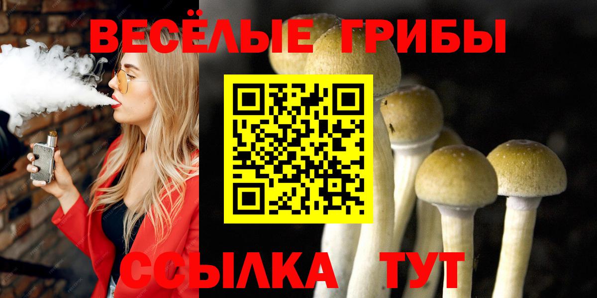 Галлюциногенные грибы Psilocybine cubensis Кимовск